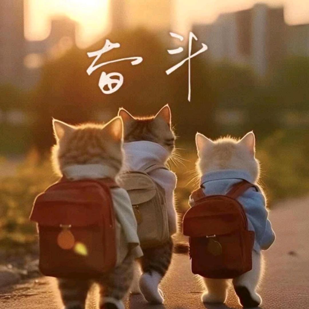 深情不及久伴。