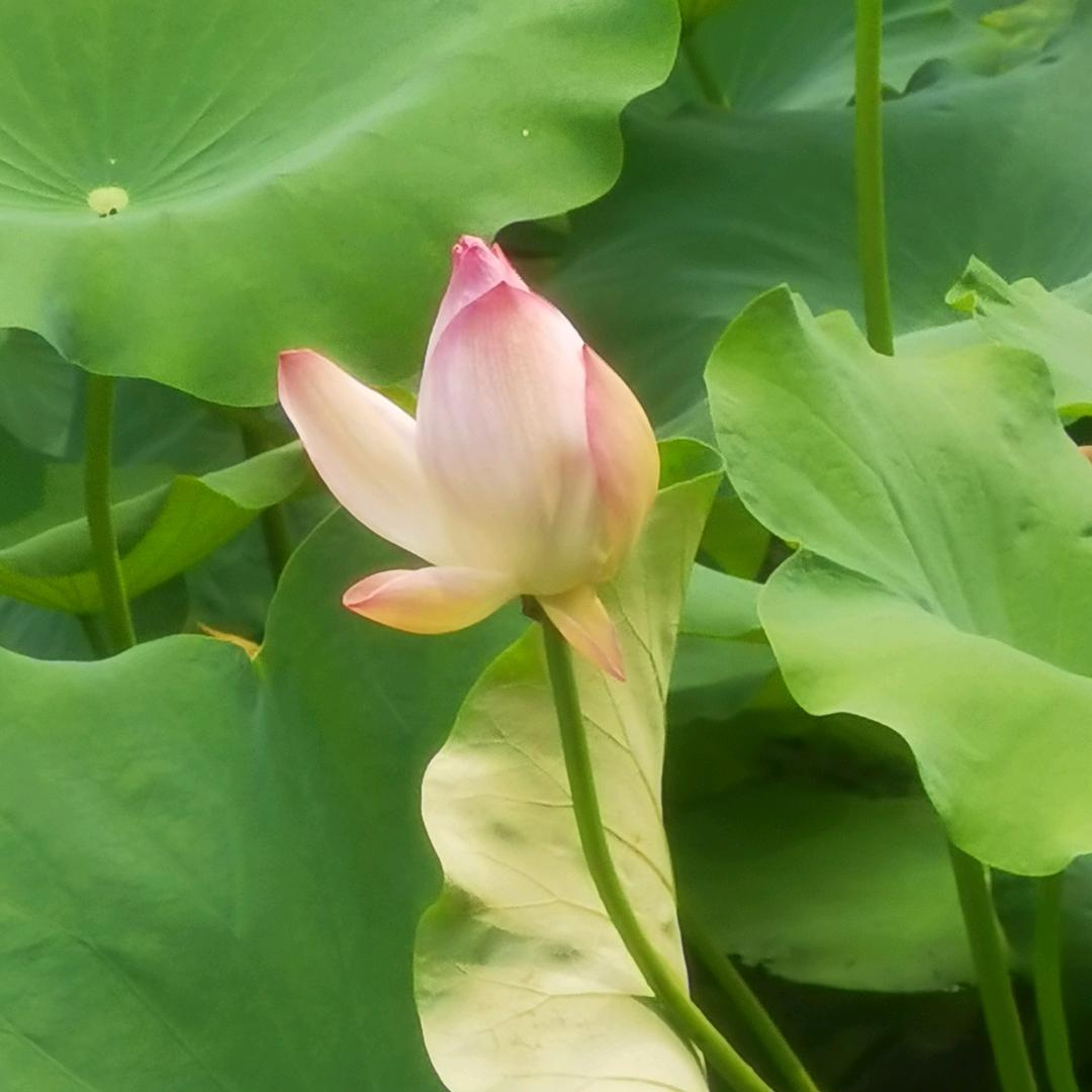 阿文挖掘吃喝玩乐