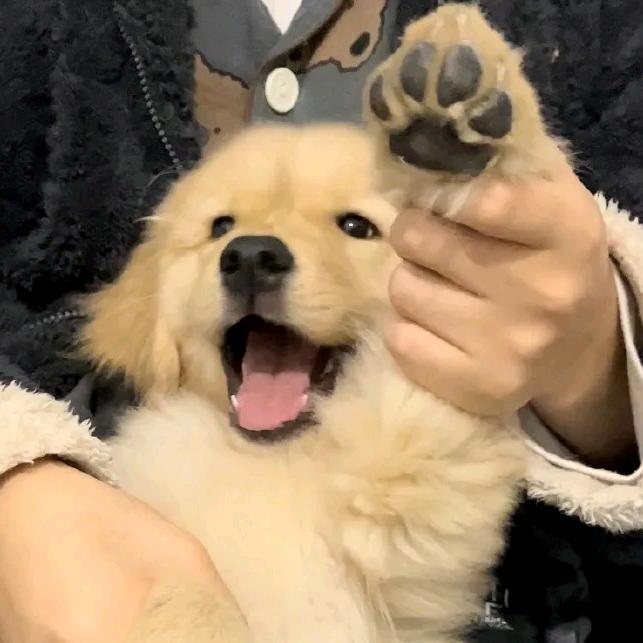 ￥