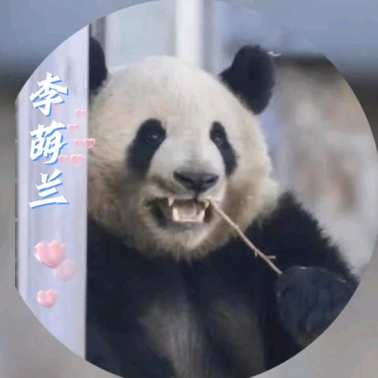 苏州熊猫