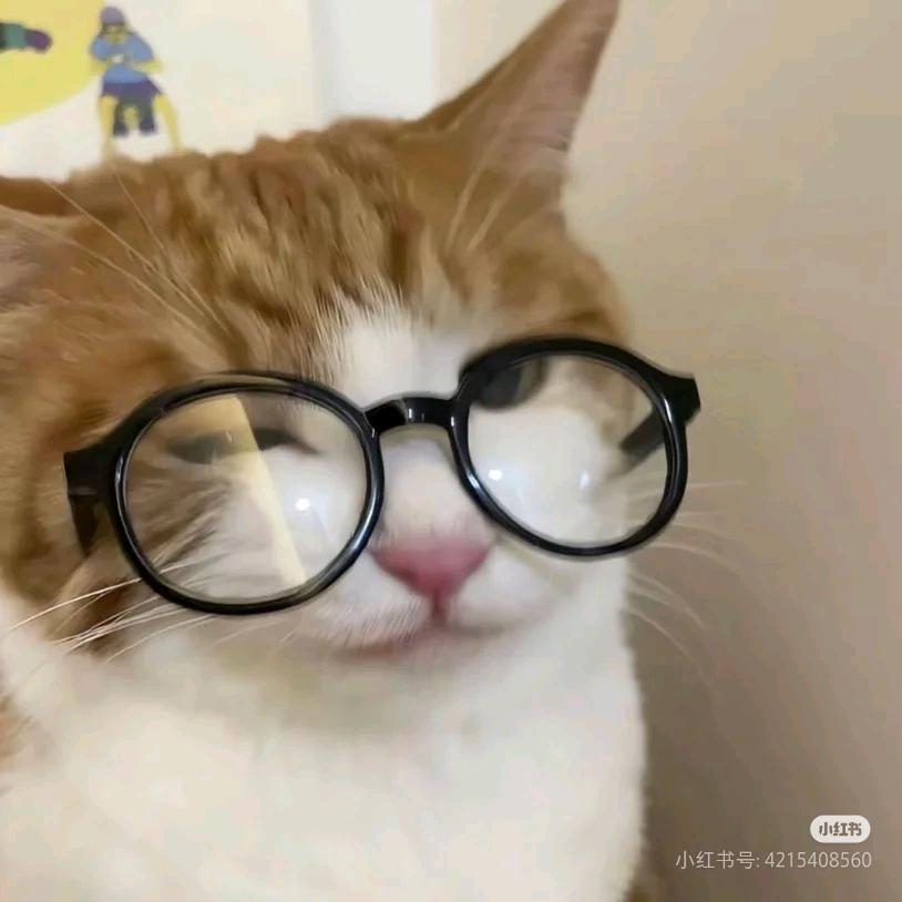 安锦君