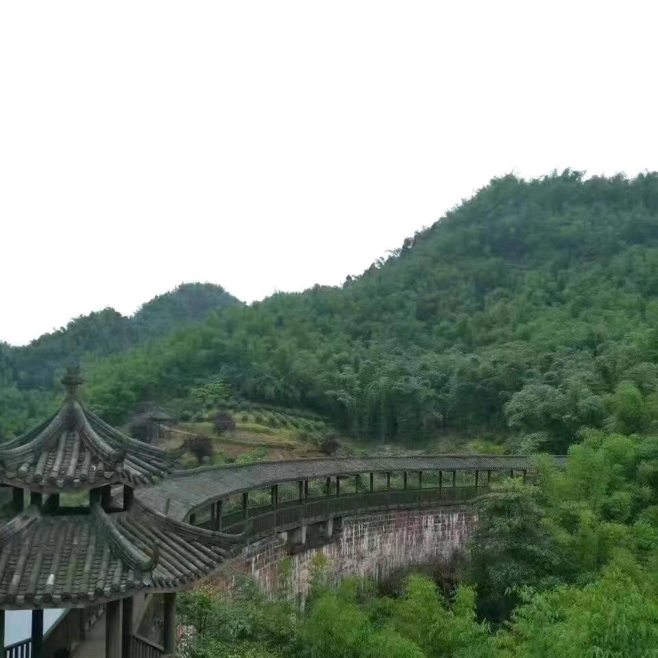 田田园