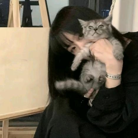 没遇到月亮