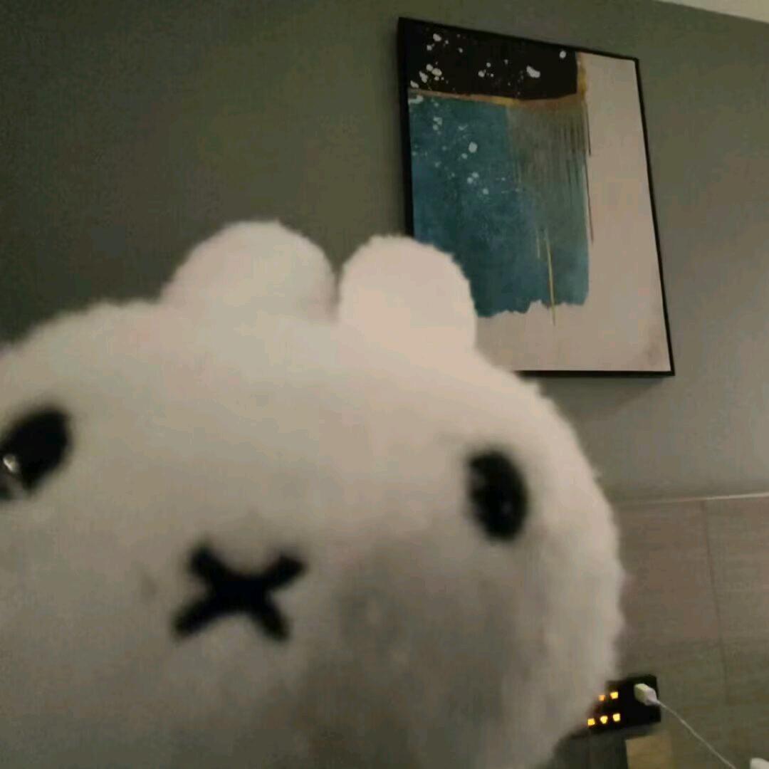 绒冬