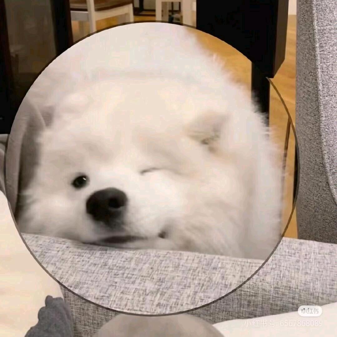 兽医学徒奈何（见过解解版）