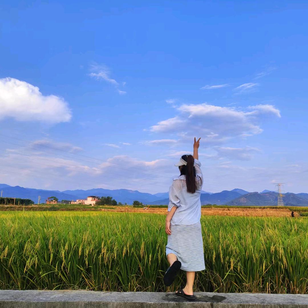 秋香