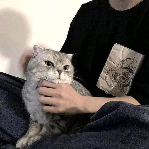 Lzz_