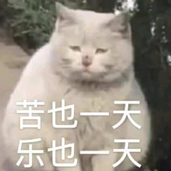 未经他人苦，莫劝他人善。