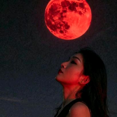 小燕子（伤感情歌）