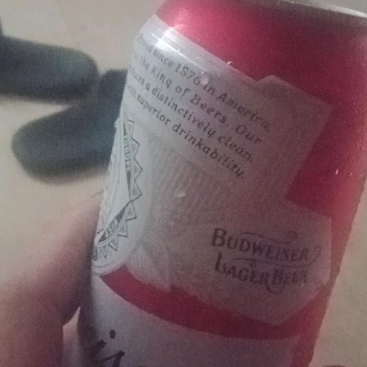 赵总经理