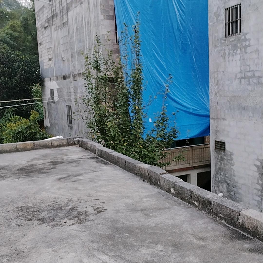 李德英