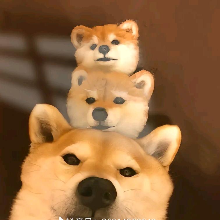 cfm小卡