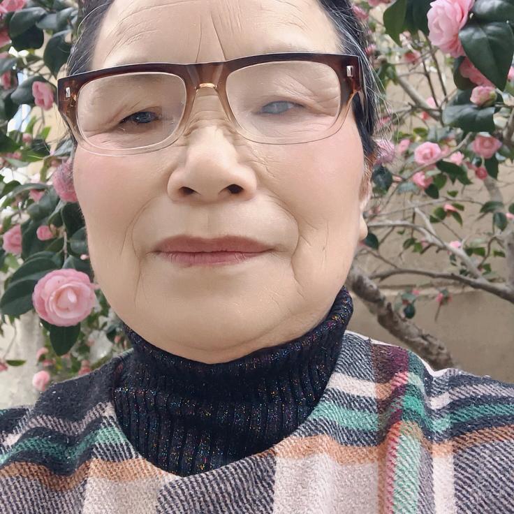 朱新
