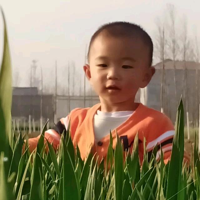 ٩(๛ 旺旺˘ ³˘)۶❤小福星