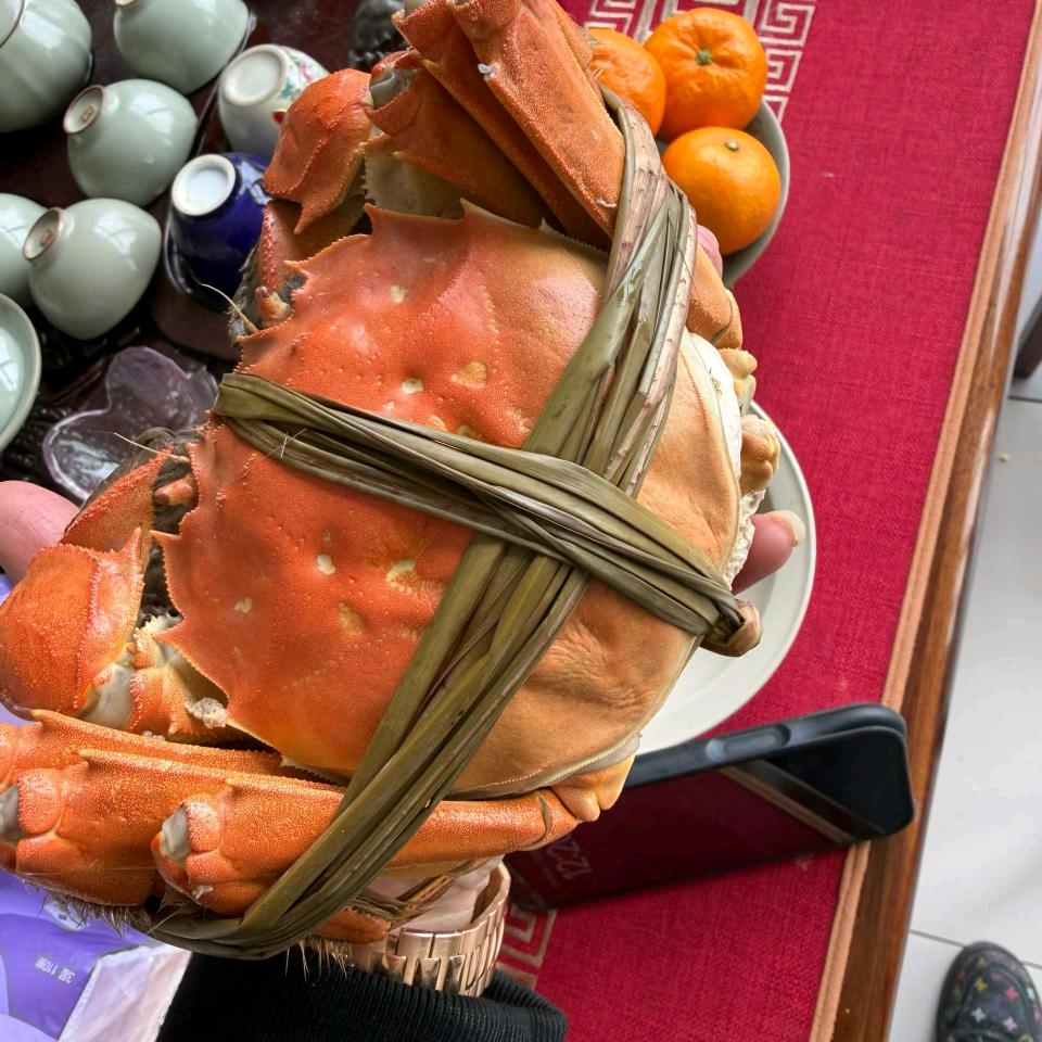 卖专供阳澄湖大闸蟹（每年限量1万只）