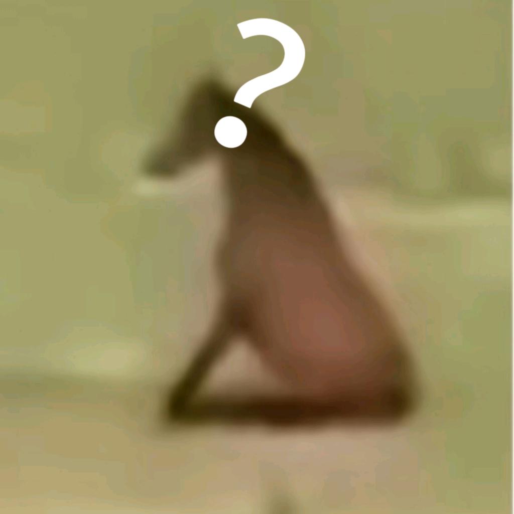 劳轩