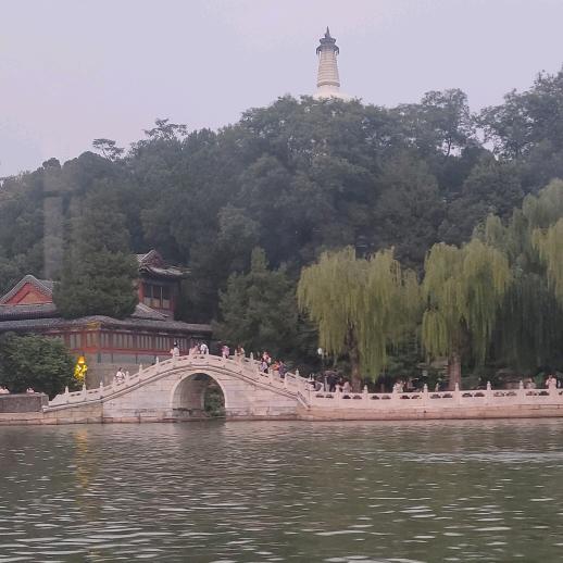 把回忆灌醉
