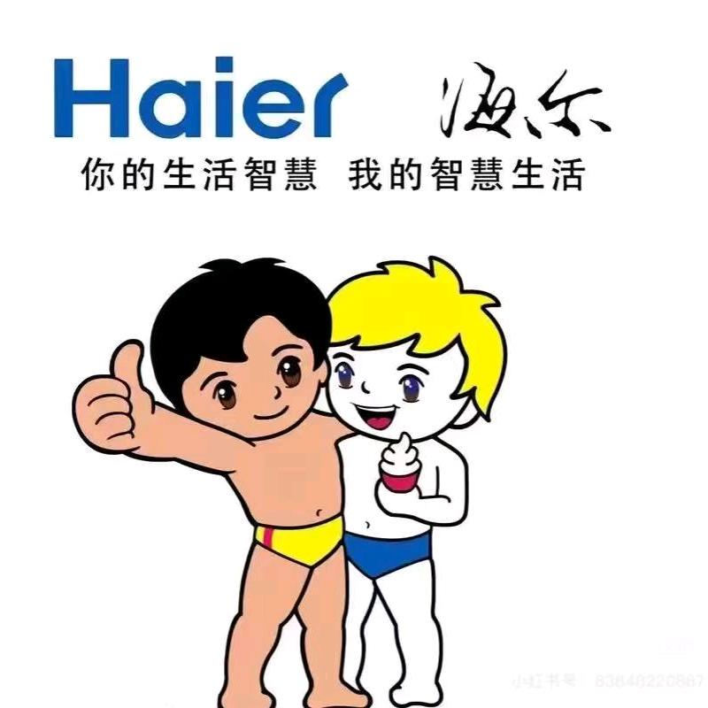 海尔专卖店(兴隆路店)专用号