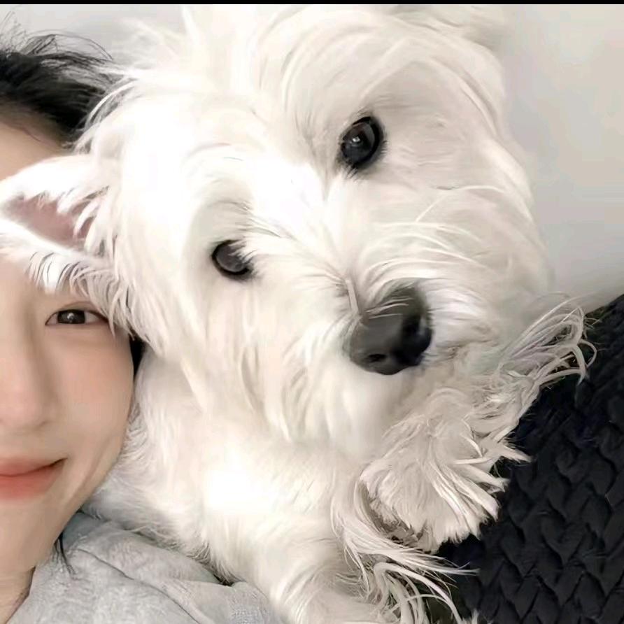 懿皇地产出租房