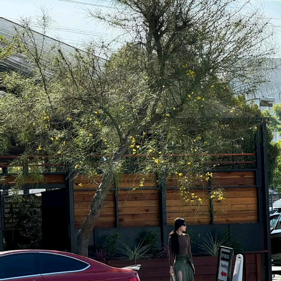 从不换换换头像 🐣