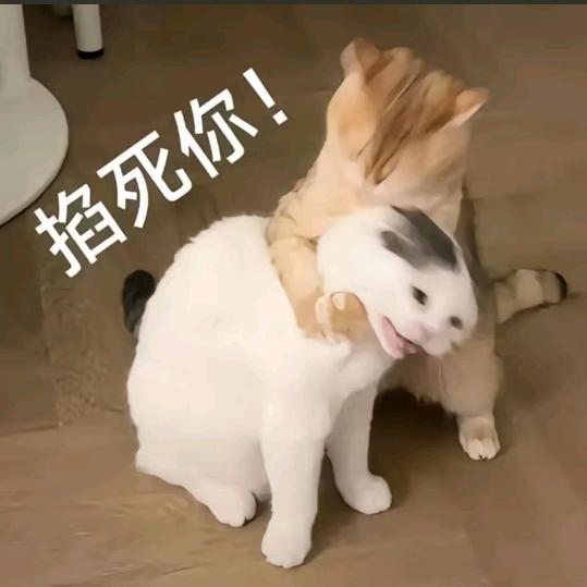 闹闹呀