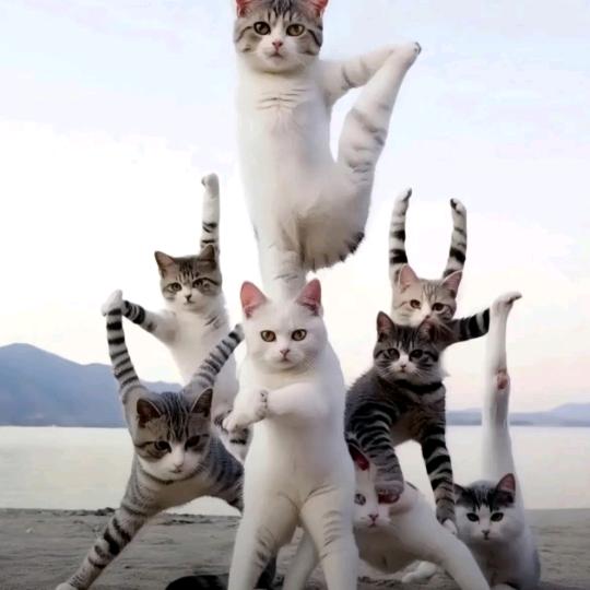 古戍