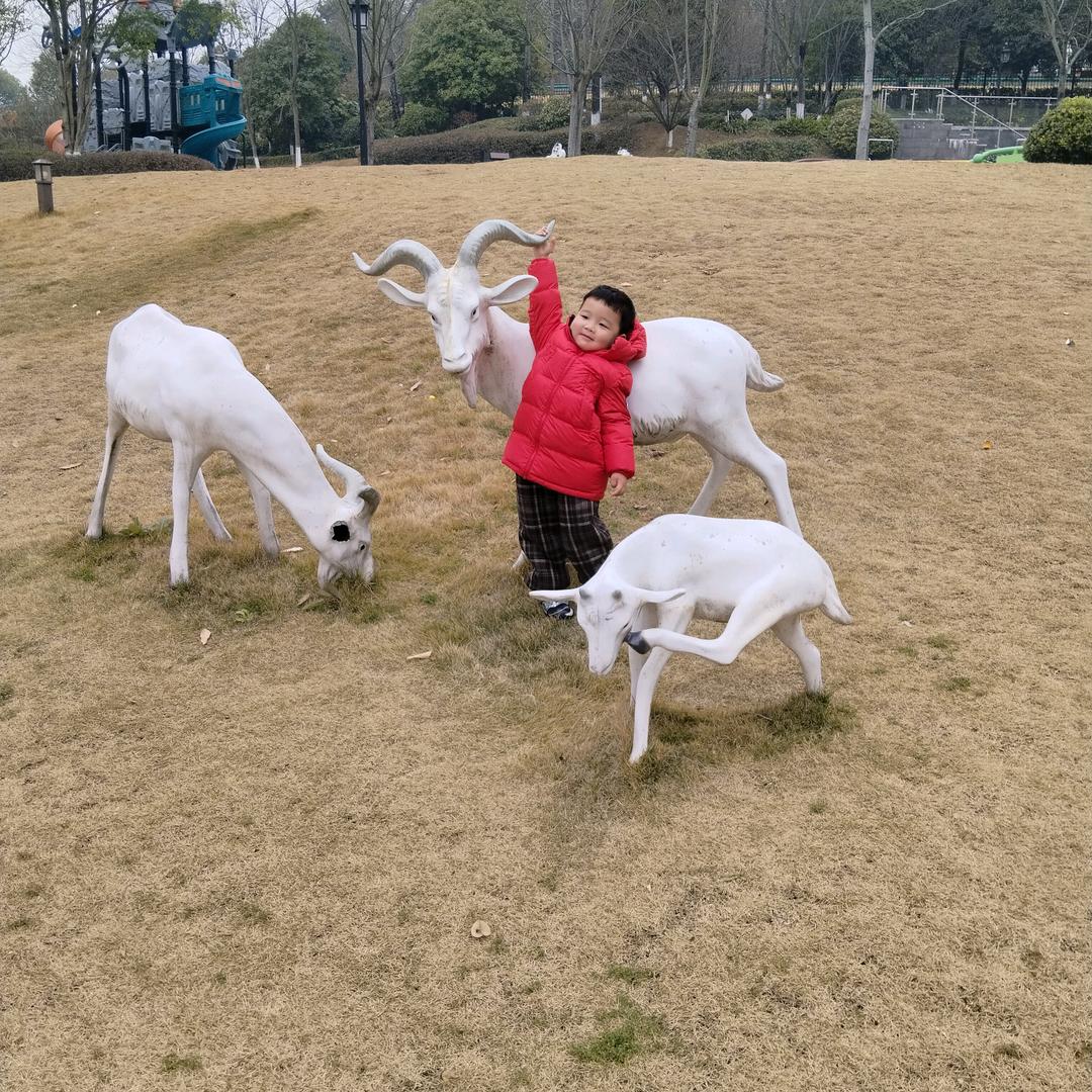 高姐🐮🐴💃🕺