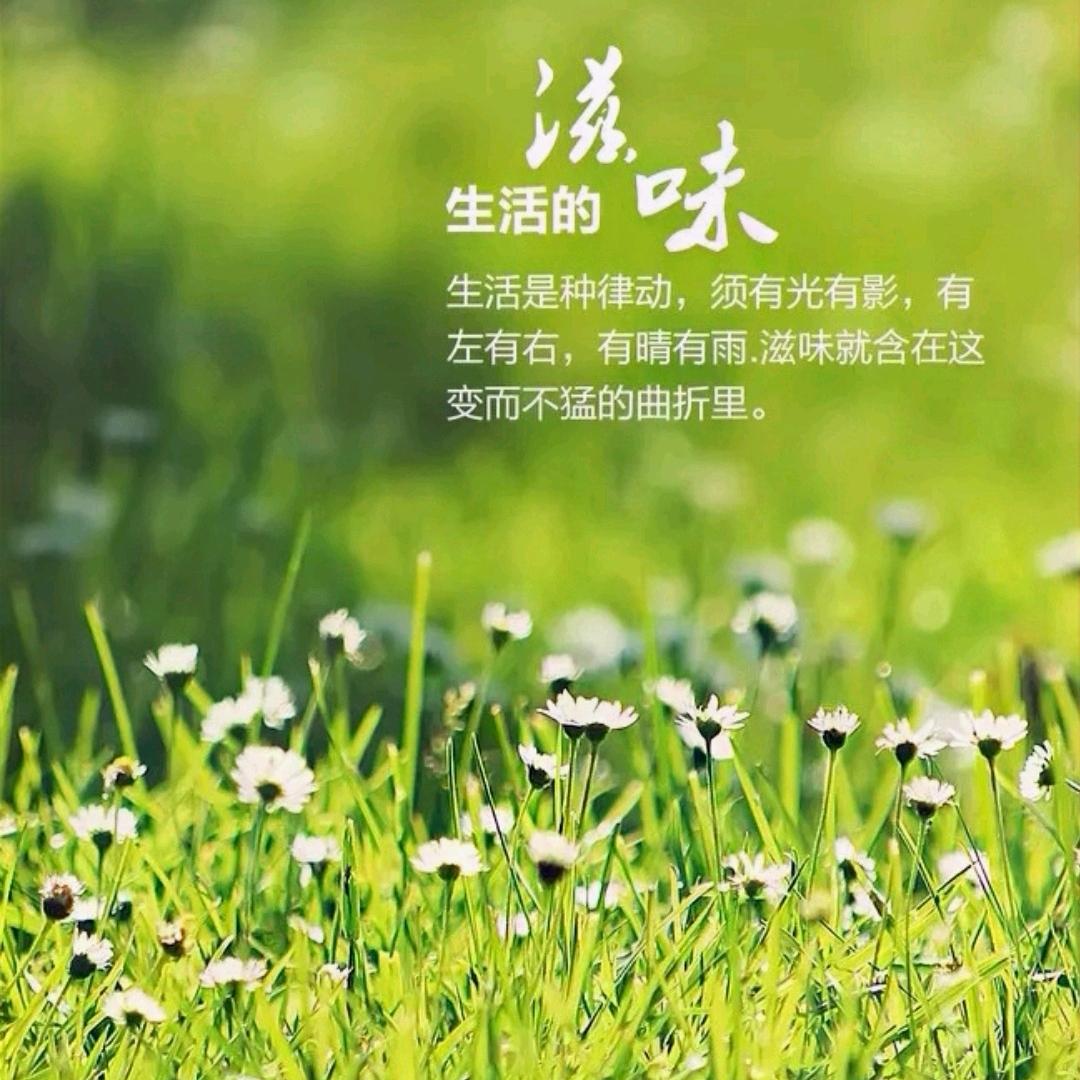 傲雪姐姐