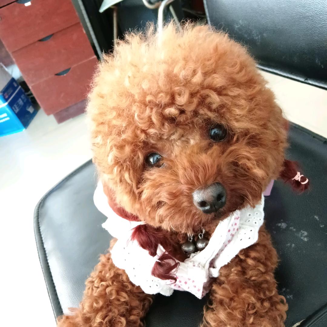 𡿨随风舞动好❤️情>