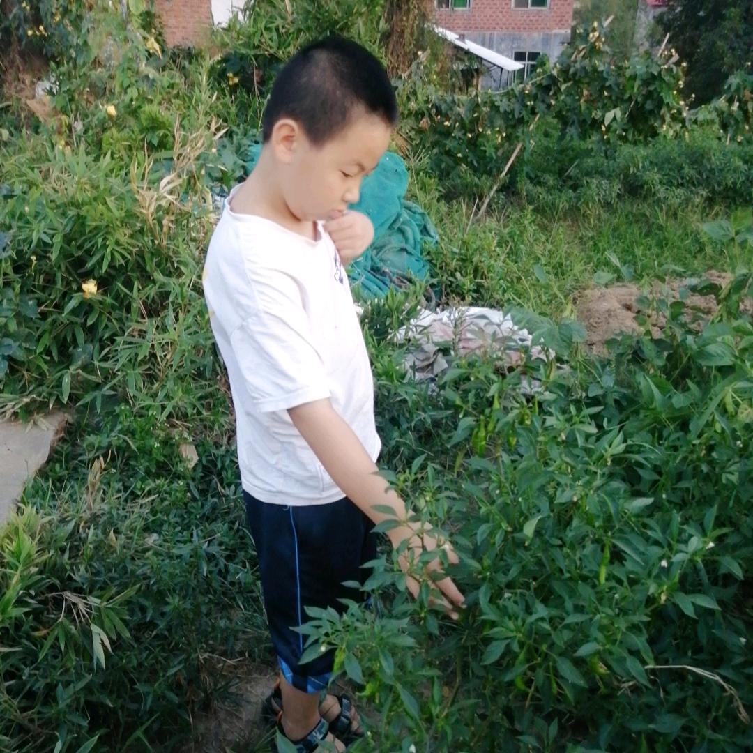 用户1583804062023我是风