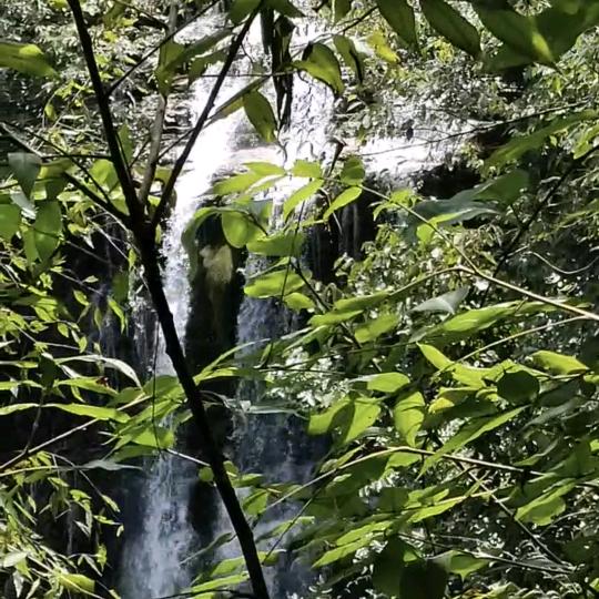 慵懒的电焊凡人