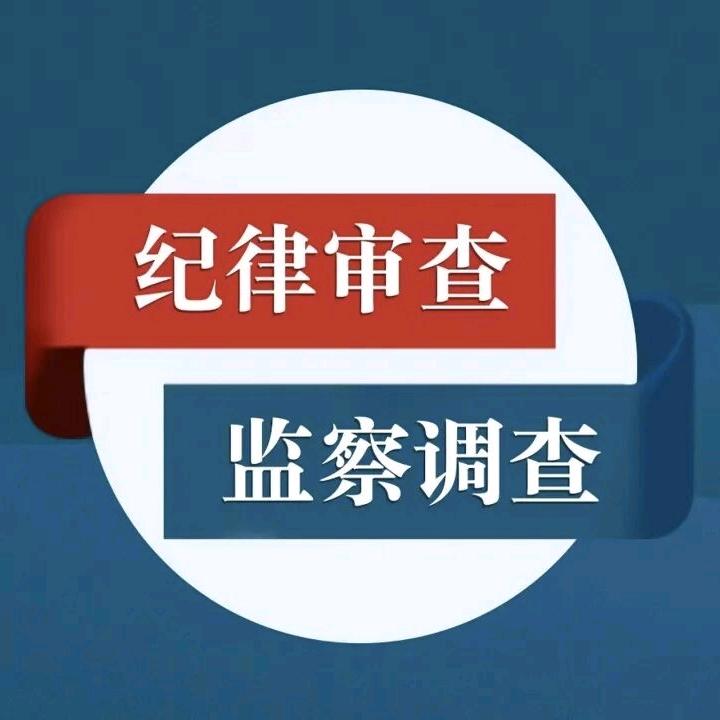 社会巡视