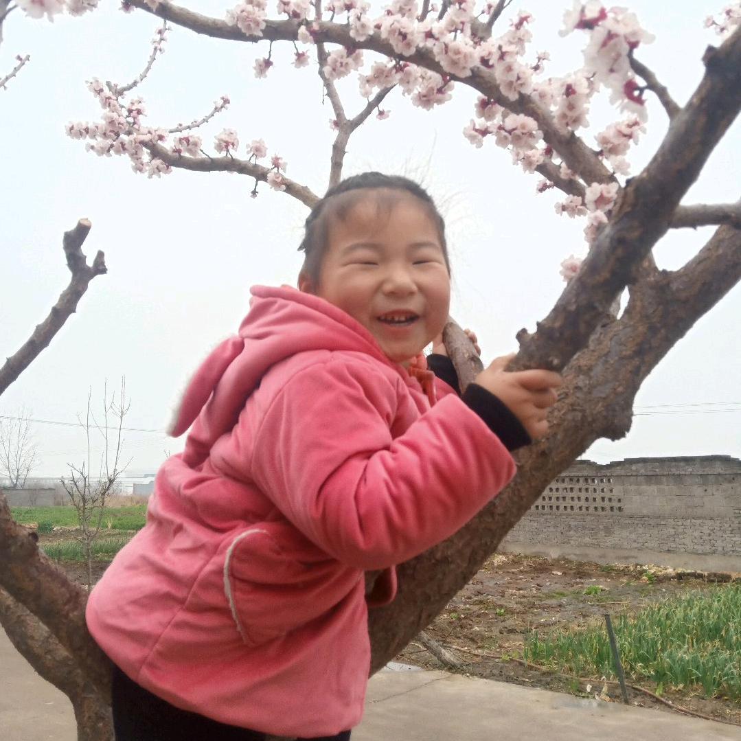 刘    文艺爱好者