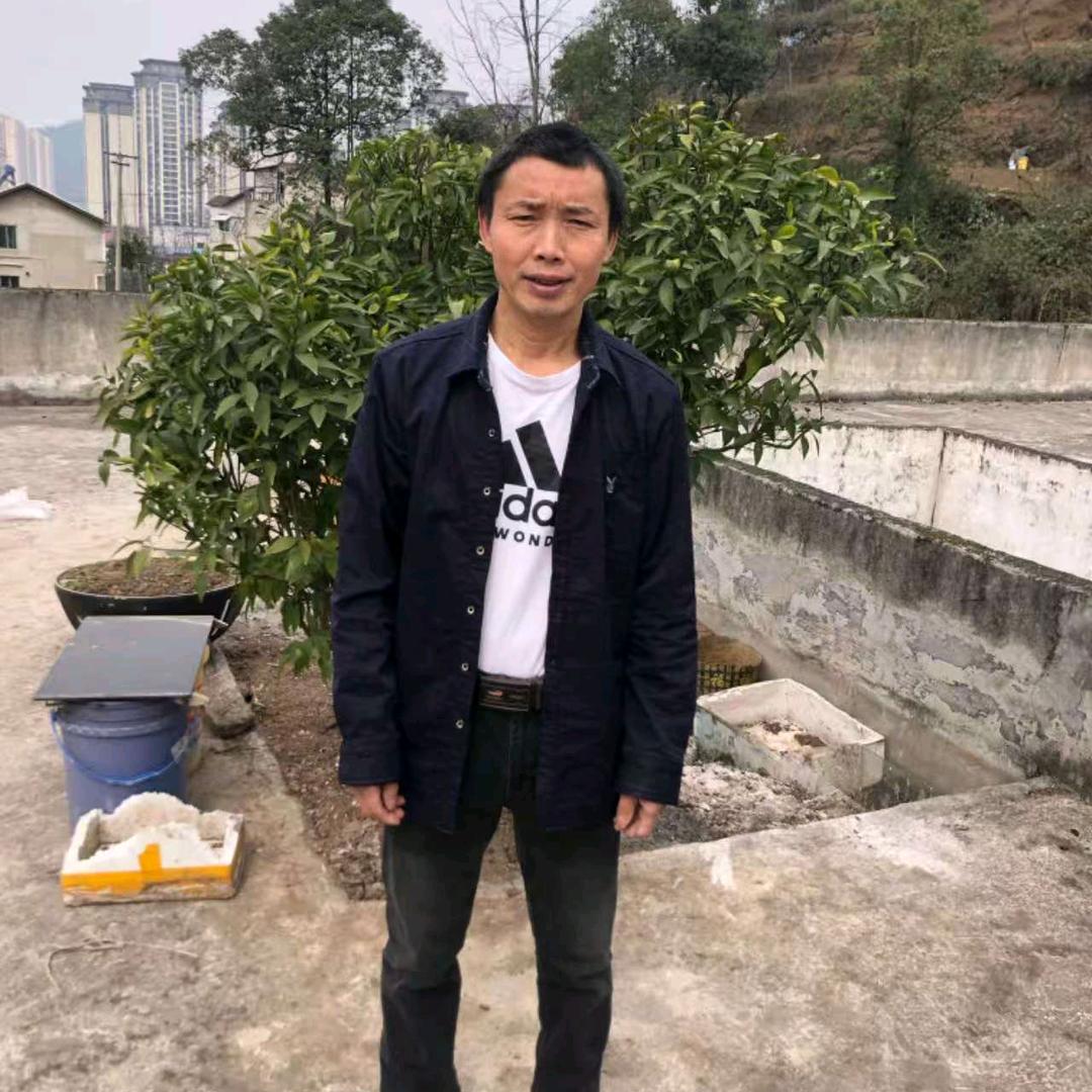 世大号