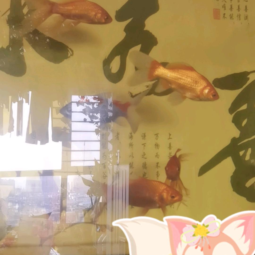 吾