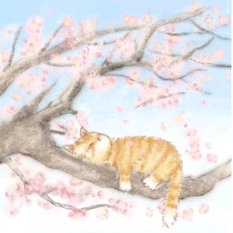 一条不吃猫的小鱼。
