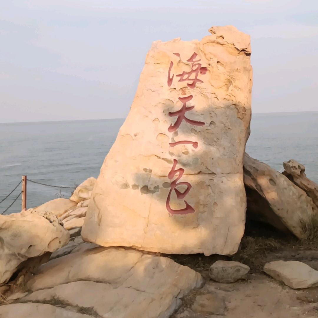 “龙哥”