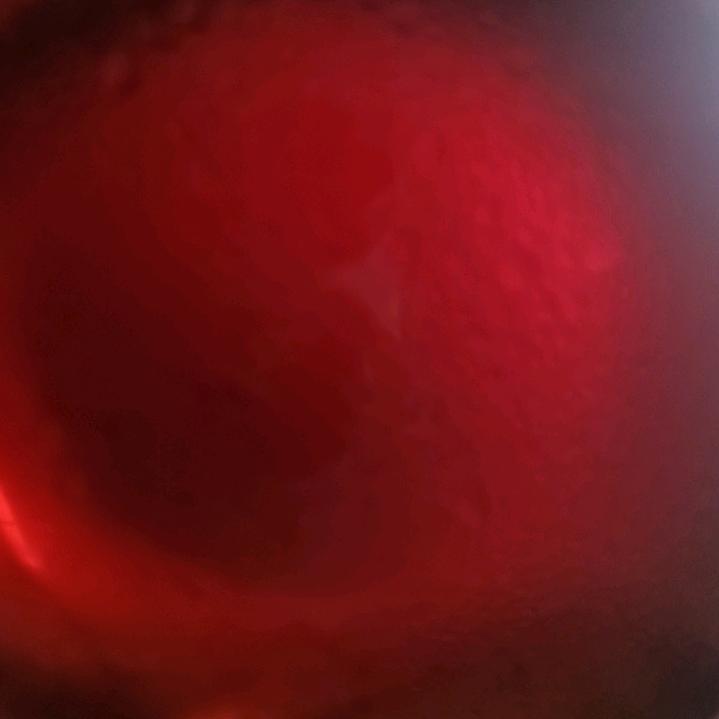 此用户与你无关