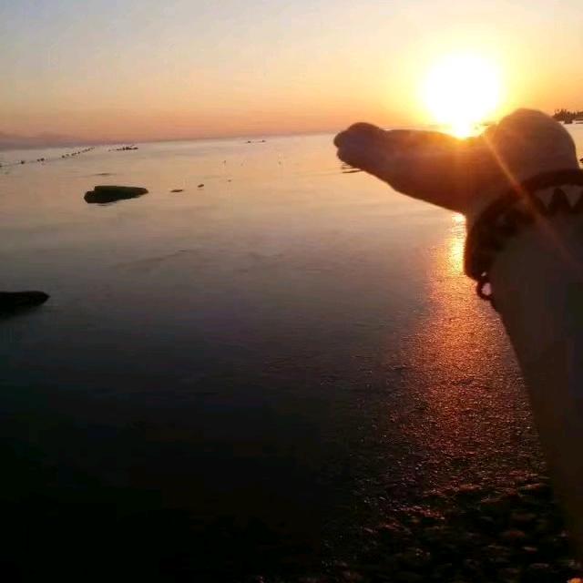 明天会更好(请勿连赞)