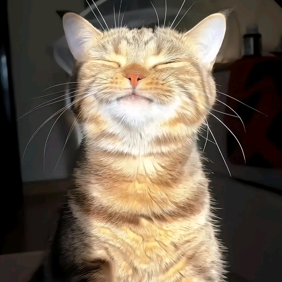 尖措
