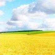 云南省电子信息高级技工学校武老师