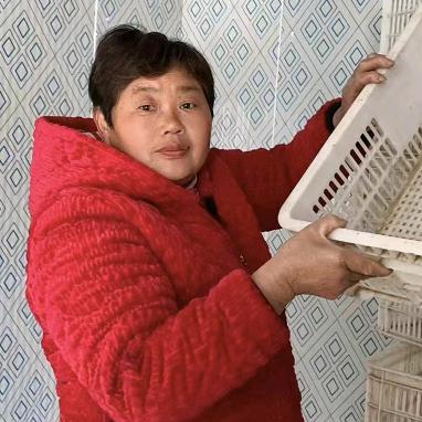 梨姐