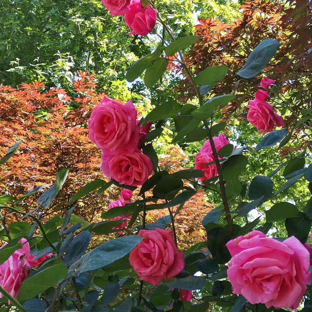 都老了，未来会好吗