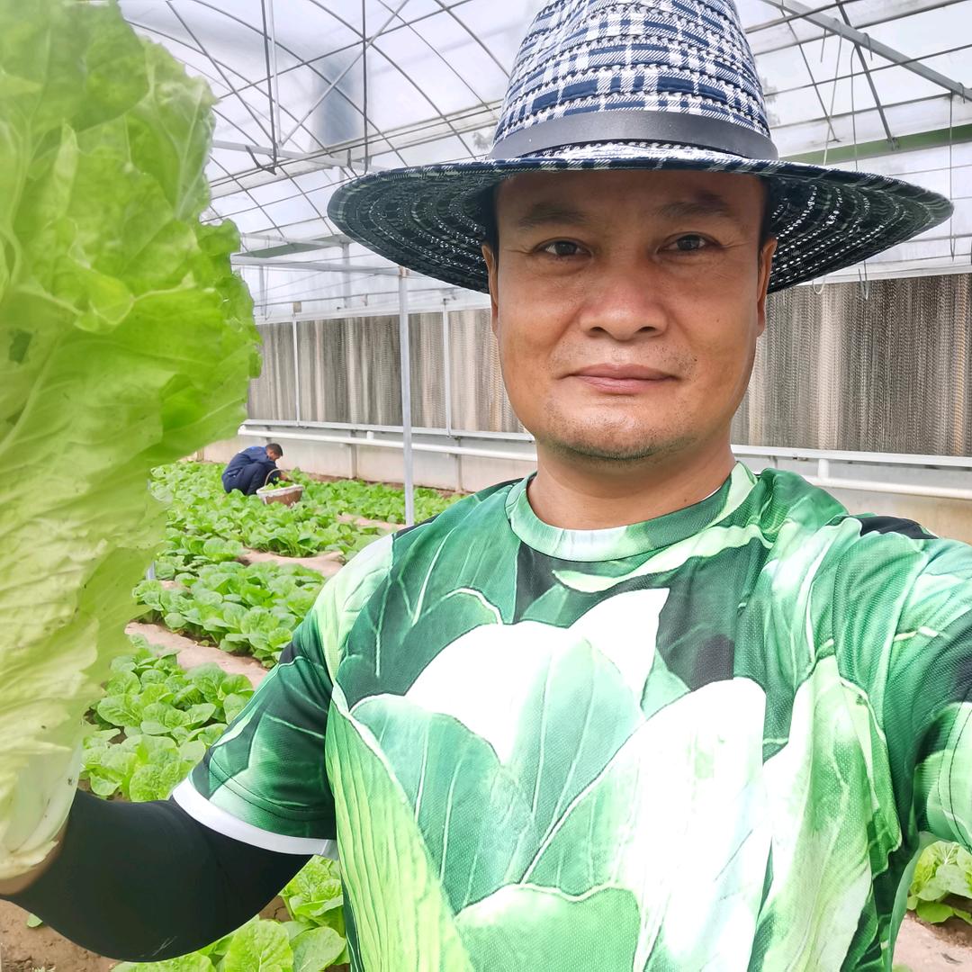 贺文茂