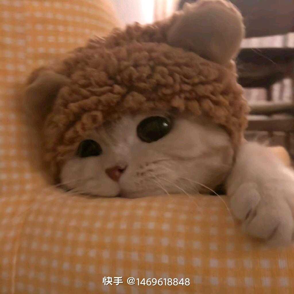 悦悦༂