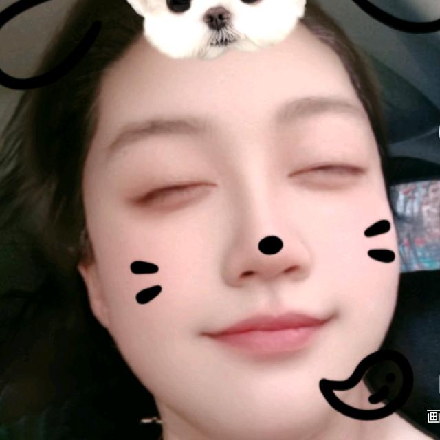 猫崽家的口袋宝藏