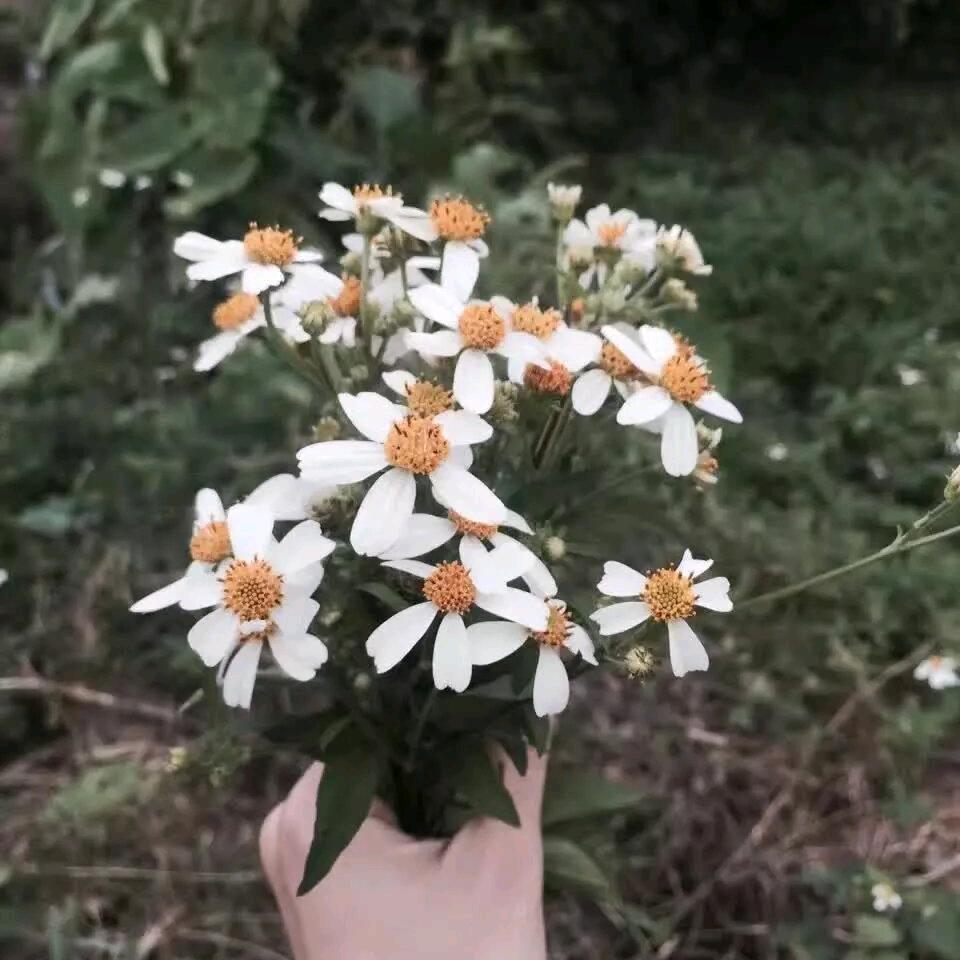 蓝小叙