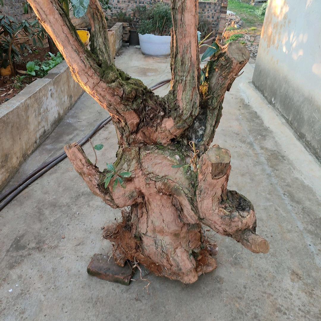 孤独的人？？？？？？？？？？？？