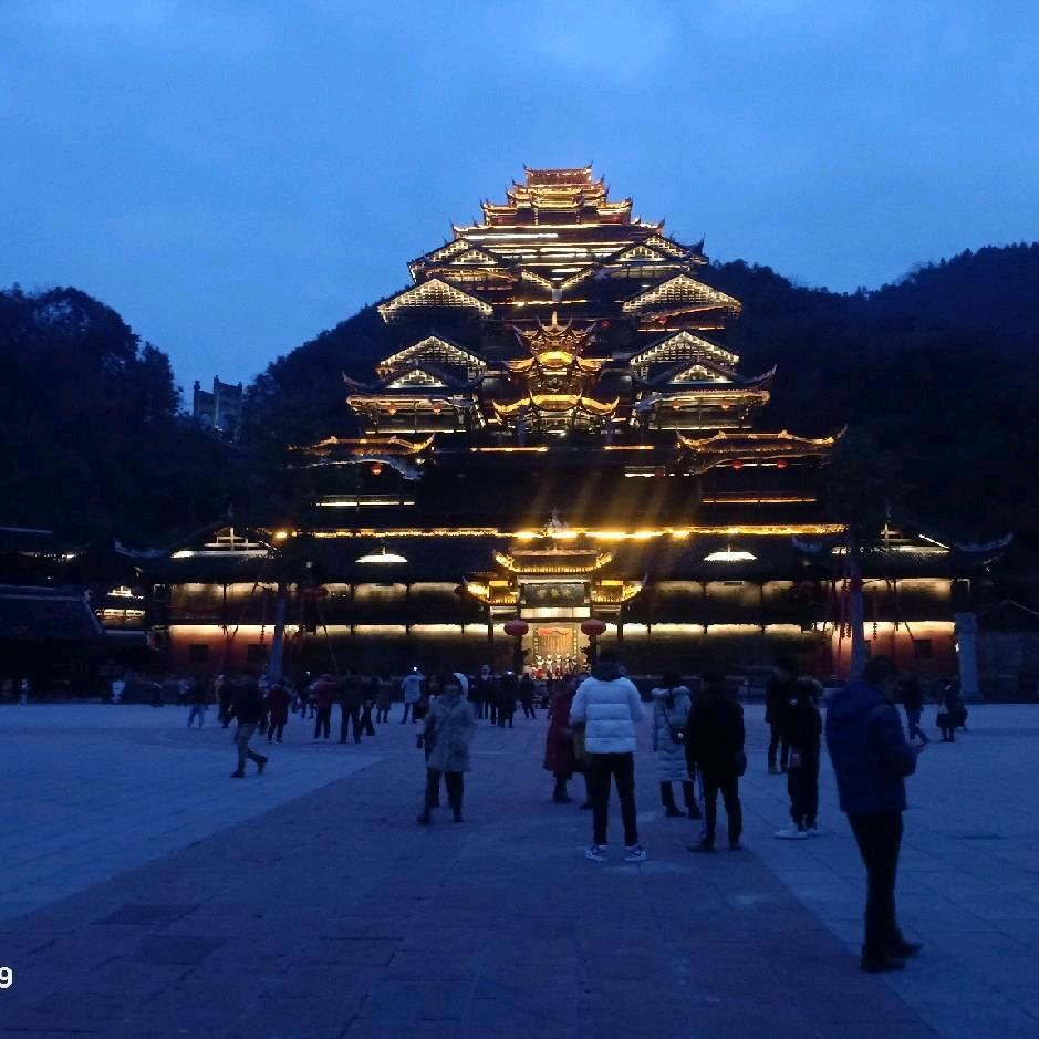 🌴梦李所想🌴