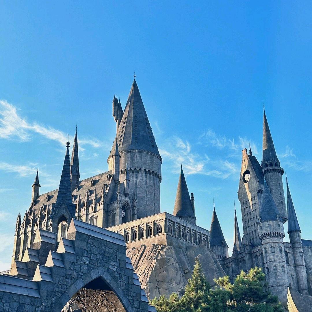 环球迪士尼vip管家小雪